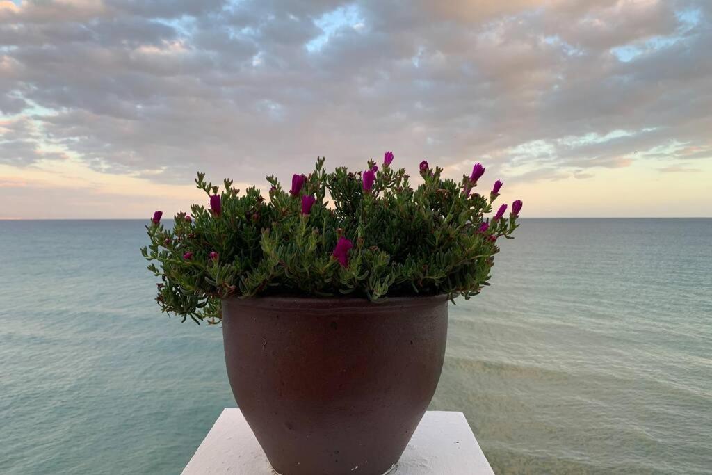 Amazing Frontline Sea Views Studio Apartment Castillo Del Vigia Torremolinos Exteriör bild